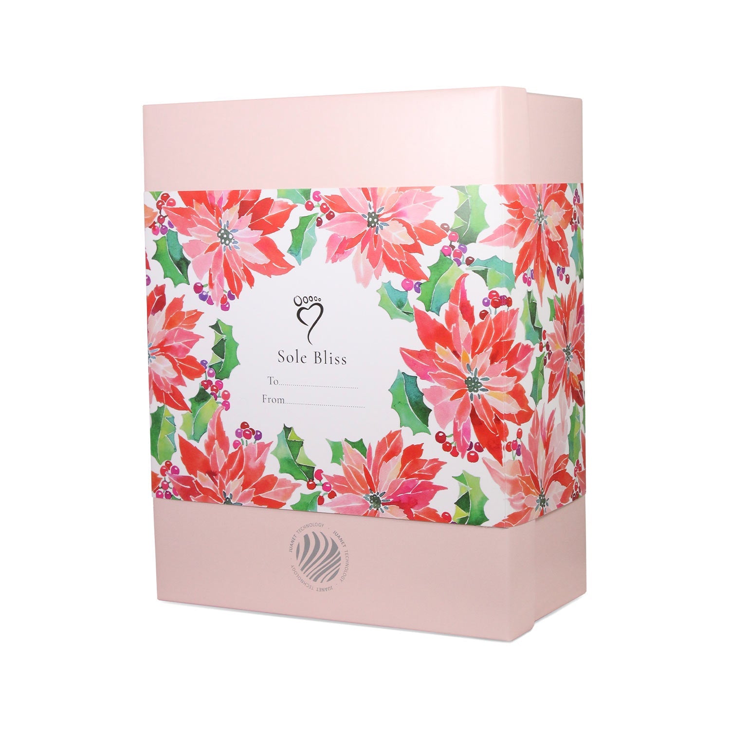 Snug: Rose Suede & Wool Shoes Sole Bliss